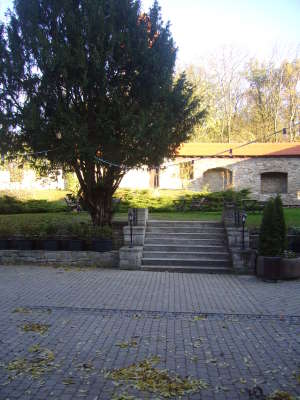Niederburg012